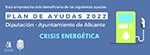 Plan de ayudas de la diputación de Alicante 2022